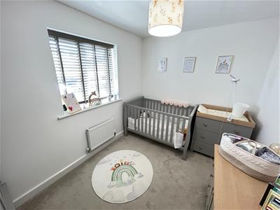 Picture 20
